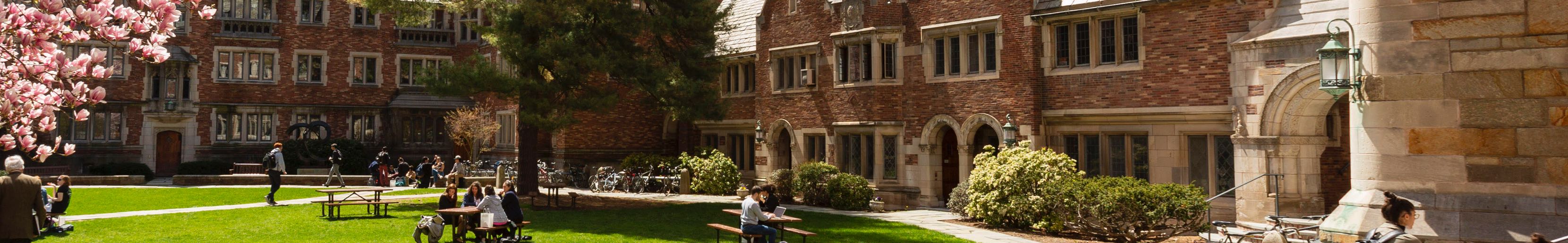 Campus Courtyard